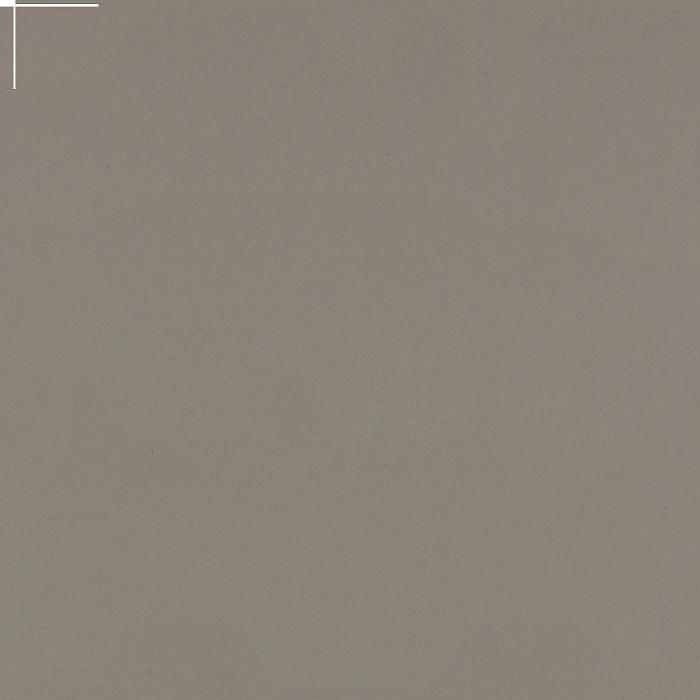 Fossil Gray Quartz Slabs