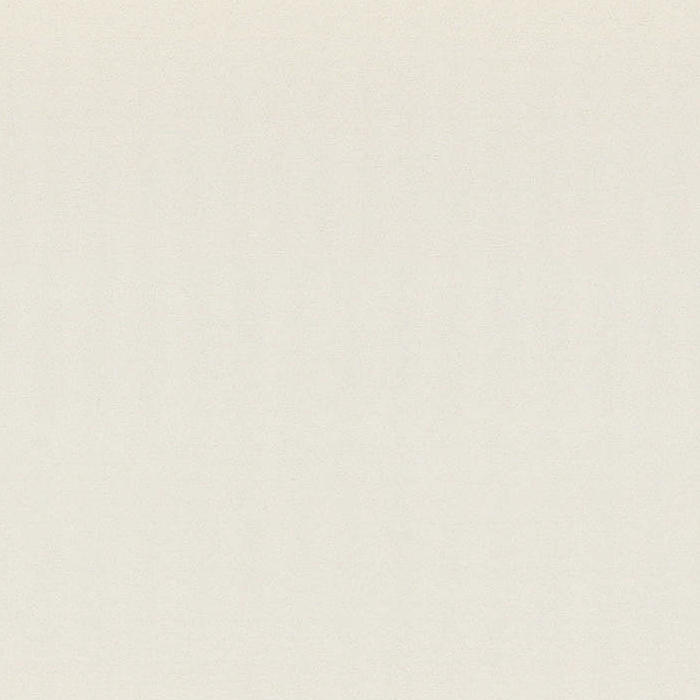 SEA SHELL Quartz Slabs