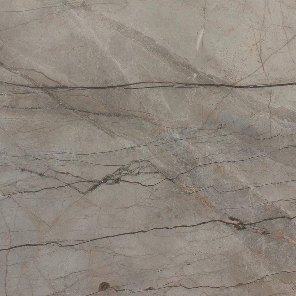 Silver Roots HONED- PREMIUM Granite Slabs