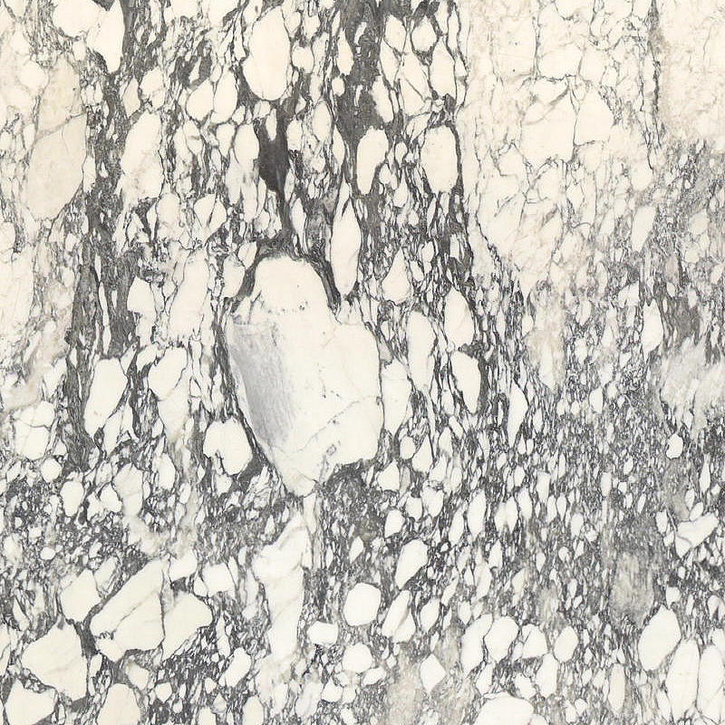 CALACATTA CORCHIA HONED Marble Slabs