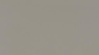 Ash Grey