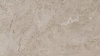 Savoie Quartzite (DNU)