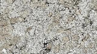 Sunset Canyon Polished