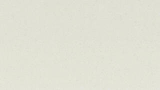 Caesarstone Organic White