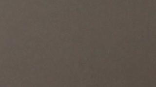 Belgian Buxy Grey Velvet