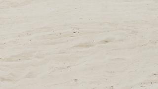 Durango Travertine
