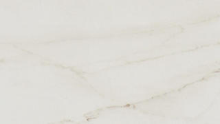 Rem Textured Velvet