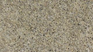 Beige Butterfly (DNU)