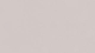 Organic White (4600)