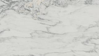 Calacatta Danby Honed