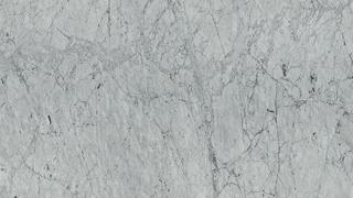 Carrara White