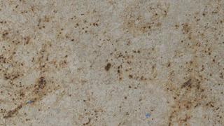 Colonial Cream (S/O)