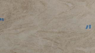 Taj Mahal (Leather) (S/O)