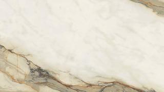 Calacatta Hermitage Natural Vein Polished