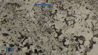 White Splendor (S/O)