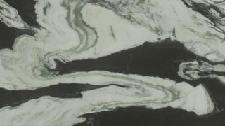 Bianco Lasa