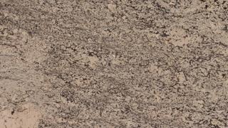 CAROLINE SUMMER  3cm