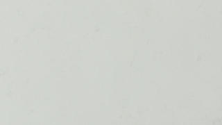 Q Quartz Calacatta Vicenza