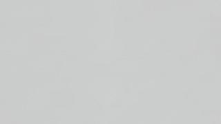 Calacatta Everest Quartz