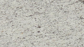 Ornamental White