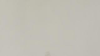 Parma White 2CM 63x126