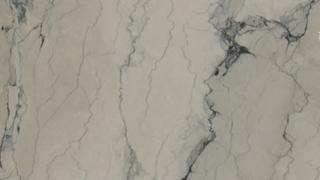 White Camouflage