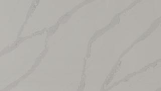 Independence Calacatta