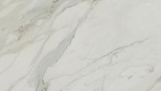 Calacatta Borghini