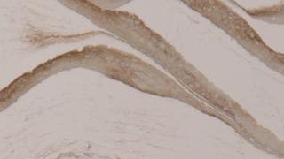 Brittanicca Gold Warm Quartz Countertops