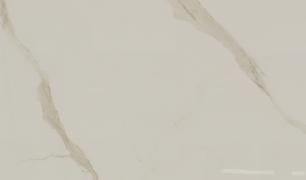 Calacatta Oro Venato