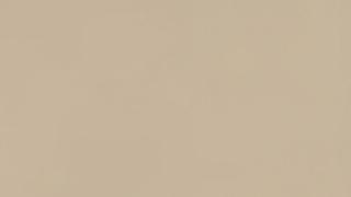 CS2200 Desert Limestone