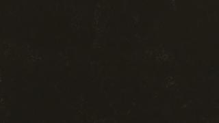 Honeyed Mahogany | NQ94