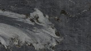 portinari black