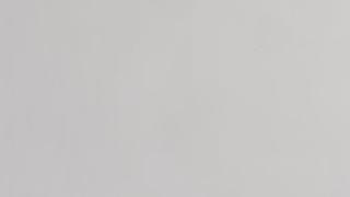 Vivid White 2CM 56.5x120