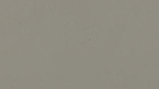 Frosty Carrina (Honed) | 5141H