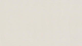 CORIAN QUARTZ / ZODIAQ SNOW WHITE