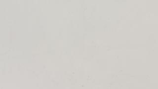 Calacatta Botanica 2CM 65x130