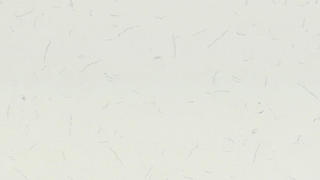 Q Quartz Carrara Morro
