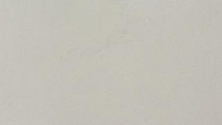 White Shell 3CM 63x126