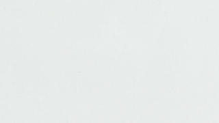 Q Quartz Frost White
