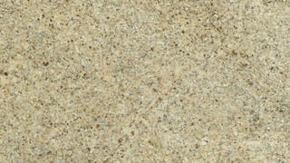 New Venetian Gold