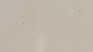 Royal Reef  (Suede Leather)* | J