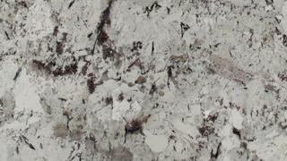 Scalea White Splendor