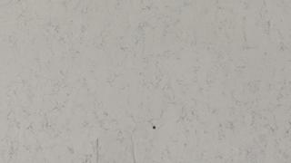 White Arabesque (P)(J) 2cm