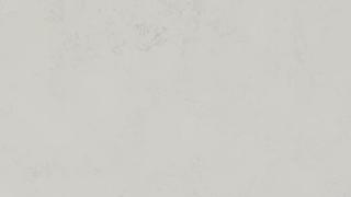 Calacatta Vicenza Quartz Countertops
