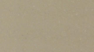 Silestone Coral Clay Color