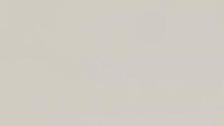 White Shimmer  | 3142