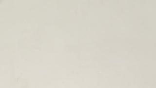 Stellar White 2CM 66x131