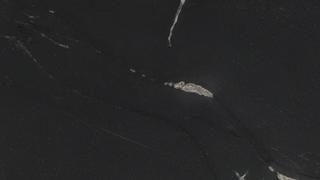 American Black Leather