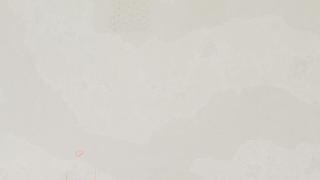 Olympus White Honed 3CM 130x65